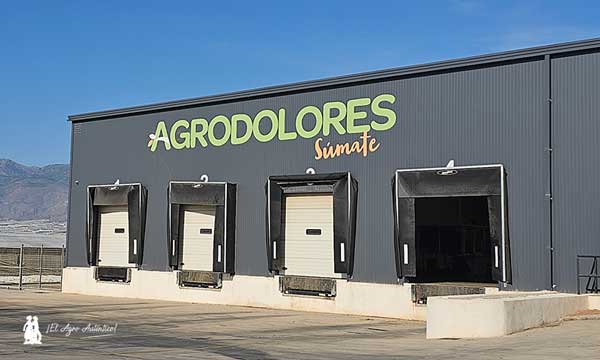 Agrodolores El Ejido-La Mojonera