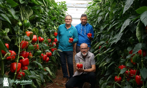 Antonio Cortés con los agricultores ejidenses Francisco Callejón y José Antonio García / agroautentico.com