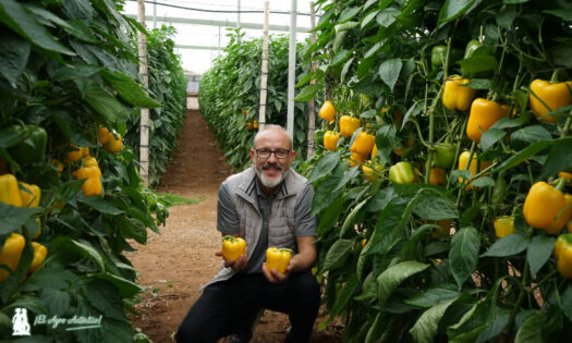 Antonio Cortés de Ramiro Arnedo con el pimiento Leonado / agroautentico.com