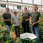 Manuel, delegado en Almería de Gautier; Javier, técnico de Las Hortichuelas; Cassandre, breeder; y David, jefe de producto en Gautier / agroautentico.com
