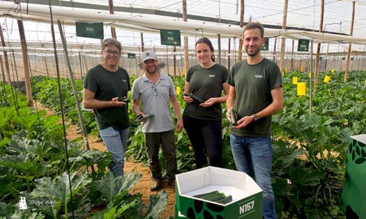 Manuel, delegado en Almería de Gautier; Javier, técnico de Las Hortichuelas; Cassandre, breeder; y David, jefe de producto en Gautier / agroautentico.com