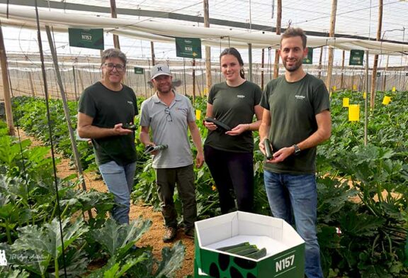 Gautier da en la tecla con los potyvirus en calabacín