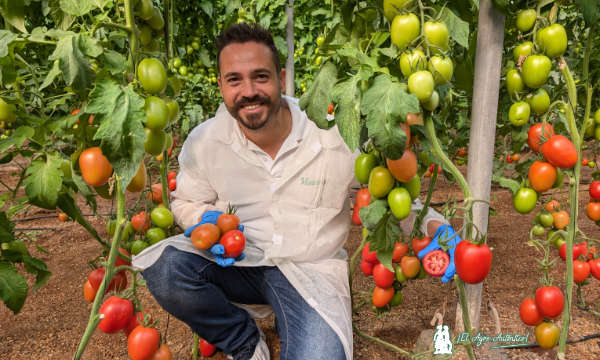 Daniel Montoro, técnico comercial de Hazera / agroautentico.com