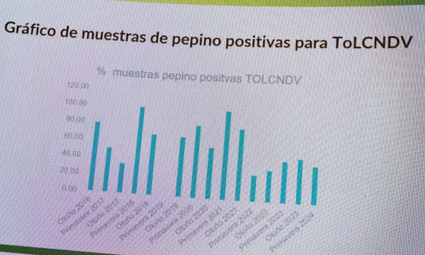 Evolución de los positivos a Nueva Delhi en pepino en Almería / agroautentico.com