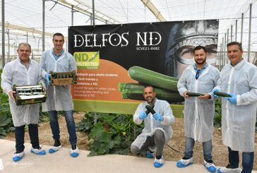 Las resistencias a Nueva Delhi en campo: Fausto, Eolo y Delfos ND