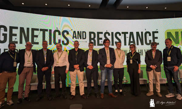 Genética y resistencia. Liderando la innovación ante el virus Nueva Delhi. Calabacín en Almería / agroautentico.com