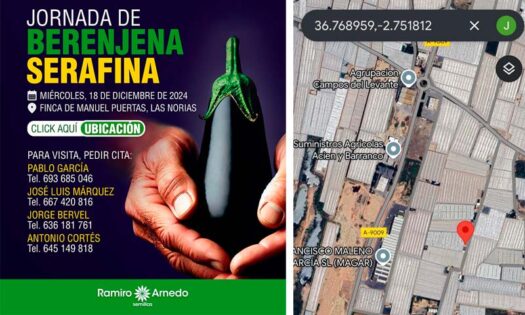 Jornada de berenjena Serafina