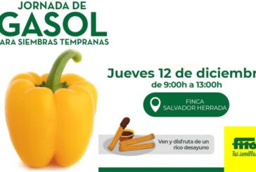 Día 12 de diciembre. Jornada de pimiento de Semillas Fitó