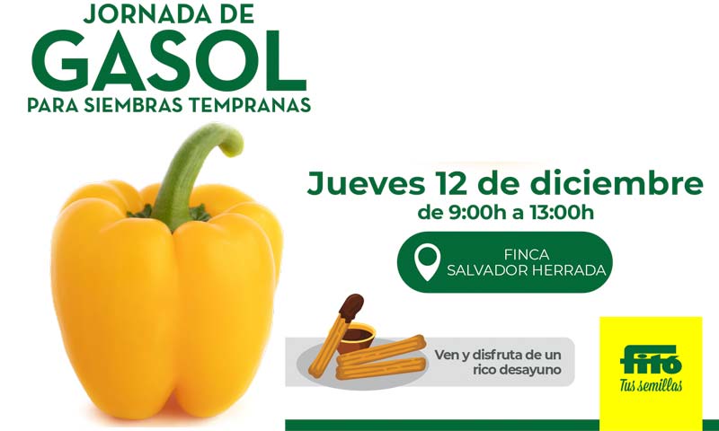 Día 12 de diciembre. Jornada de pimiento de Semillas Fitó