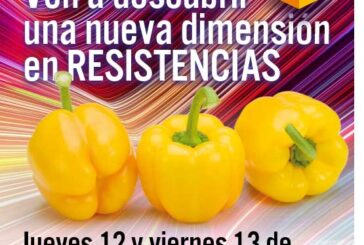 Días 12 y 13 de diciembre. Jornadas de pimiento amarillo de Vilmorin-Mikado