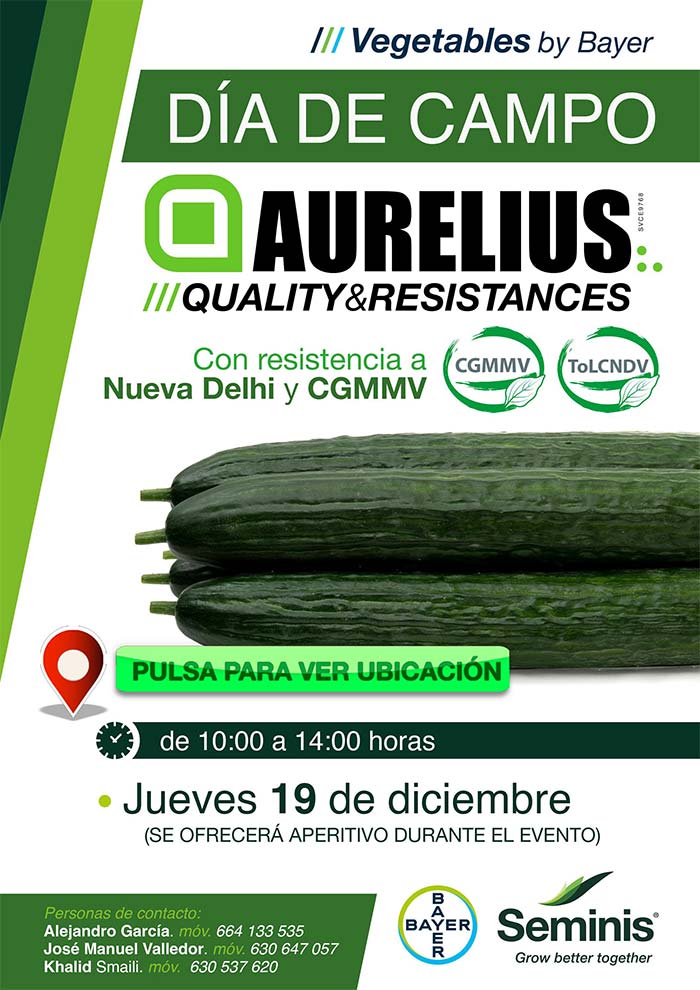 Jornada de pepino Aurelius de Seminis de Bayer