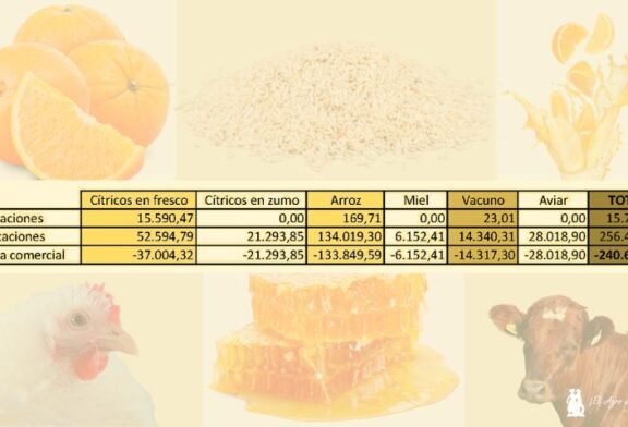 Los sectores afectados por Mercosur: cítricos, arroz, frutas y ganadería