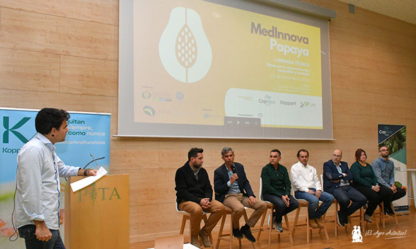 Mesa redonda sobre papaya en Almería: MedInnova Papaya / agroautentico.com