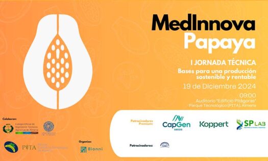 Medinnova impulsa la introducción de la papaya como cultivo estratégico en el Mediterráneo 