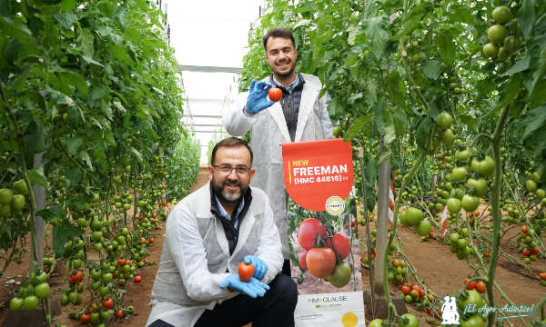 Miguel Ángel Rodríguez y José Miguel Reyes con tomate Freeman / agroautentico.com