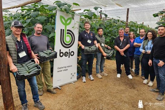 Bejo agranda su gama de pepino español con el nuevo Albox