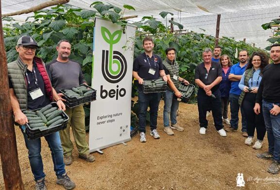 Bejo agranda su gama de pepino español con el nuevo Albox