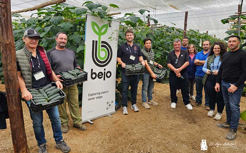 Bejo agranda su gama de pepino español con el nuevo Albox