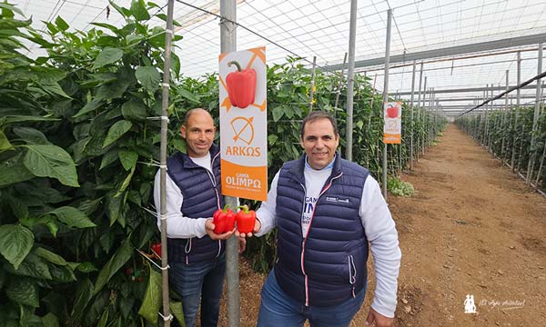 Antonio Miguel López y José Ramón Martínez, especialistas en pimiento, con la variedad Arkos / agroautentico.com