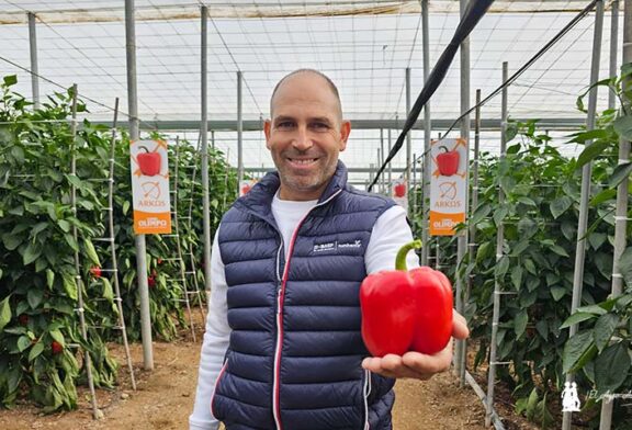 “Pimiento Arkos va bien donde lo pongas”