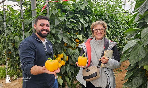 Frutos de pimiento Arquimedes / agroautentico.com