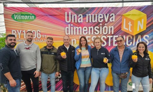 Doble jornada de puertas abiertas para mostrar los amarillos de Vilmorin-Mikado / agroautentico.com