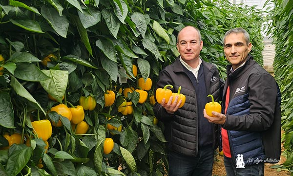 Luis Twose y Joaquín González, con los amarillos de Vilmorin-Mikado / agroautentico.com