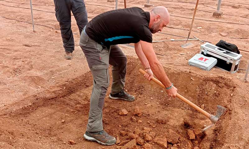 Vicasol, CASI, Acrena, Indasol, Inver, Hortichuelas, Murgiverde, Dunamar, Costadulce, Coare y Cítricos del Andarax en el proyecto Prosuelo