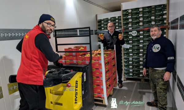 SAE envía un camión de hortalizas a los afectados por la DANA en Valencia / agroautentico.com