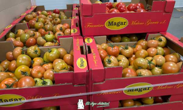 Tomates de MAGAR para el camión de SAE para los afectados de la DANA en Valencia / agroautentico.com