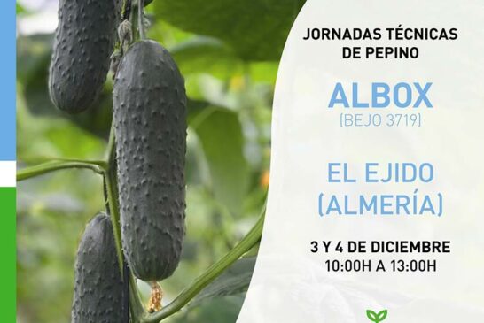 Días 3 y 4 de diciembre. Jornada de pepino de Bejo