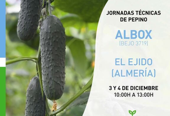 Días 3 y 4 de diciembre. Jornada de pepino de Bejo