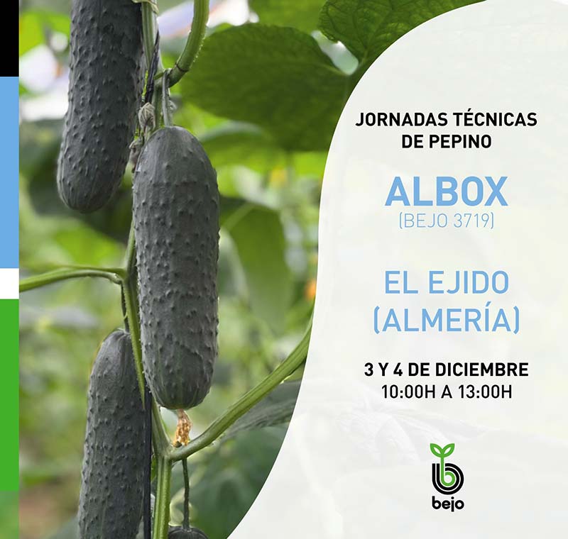 Días 3 y 4 de diciembre. Jornada de pepino de Bejo