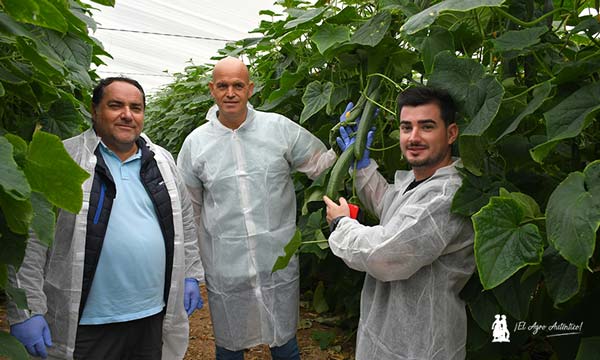 Juan Diego Martínez, Syngenta, con Manuel Moreno y Pablo Hernández, técnicos de Unicom / agroautentico.com