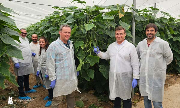 Lucas y Héctor, técnicos de Vicasol, con David Blázquez, delegado de Syngenta / agroautentico.com