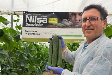 Nilsa es un nuevo demoledor en pepino resistente a Nueva Delhi