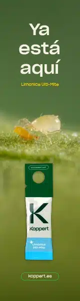 RASCACIELOS 1 KOPPERT