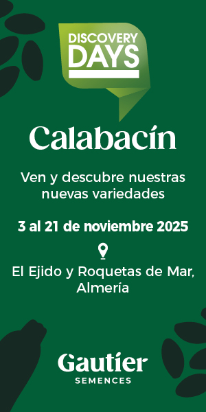 RASCACIELOS GAUTIER 2025