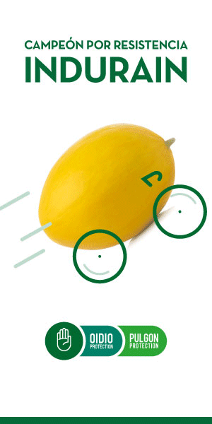 RASCACIELOS SEMILLAS FITO 2025