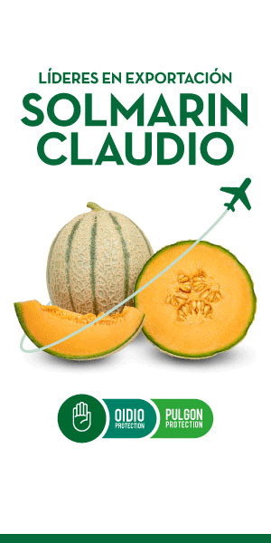 RASCACIELOS SEMILLAS FITO 2025