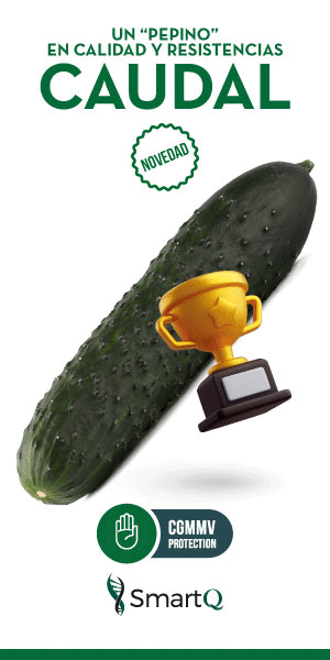 RASCACIELOS SEMILLAS FITO 2025