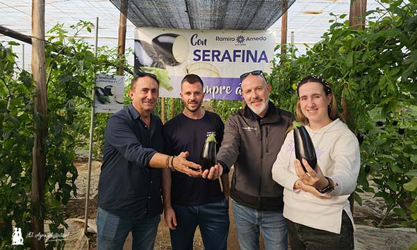 Serafina posiciona a Ramiro Arnedo en el mercado de la berenjena-noticias-agroautentico.com