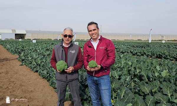 Cultivos orientales y nuevos brócolis en el evento de invierno de Sakata en Murcia