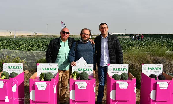 Cultivos orientales y nuevos brócolis en el evento de invierno de Sakata en Murcia 3