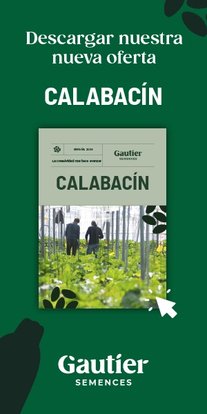 RASCACIELOS GAUTIER 2025