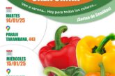 Días 14 y 15 de enero. Jornadas de pimiento de Diamond Seeds