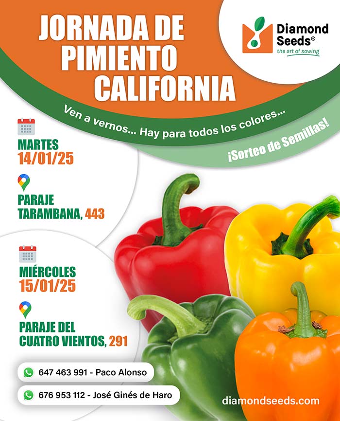 Días 14 y 15 de enero. Jornadas de pimiento de Diamond Seeds