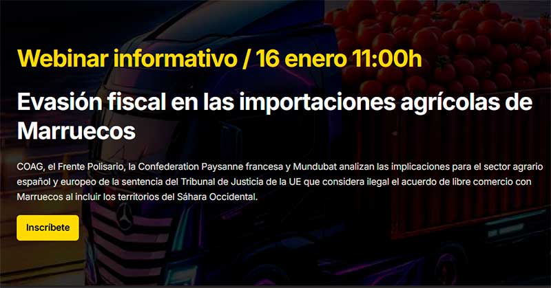 Día 16 de enero. Webinar ‘Evasión fiscal en las importaciones agrícolas de Marruecos’