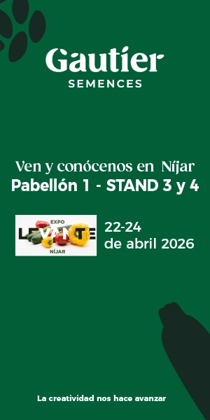 RASCACIELOS GAUTIER 2025