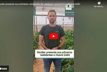 Gautier presenta sus primeras variedades de calabacín resistentes a Nueva Delhi